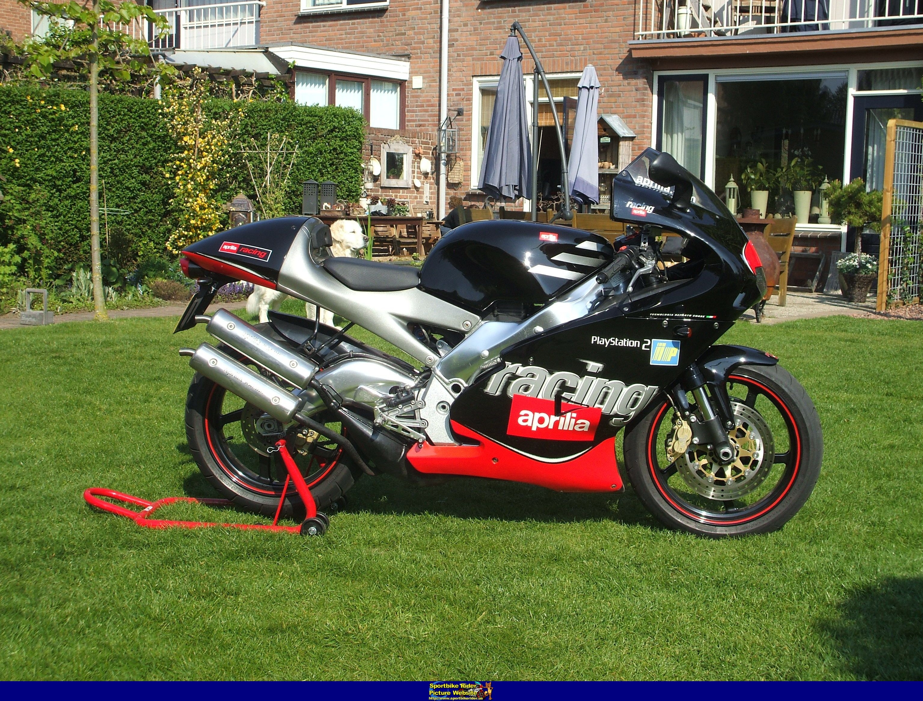 1999 Aprilia RS 250 #8