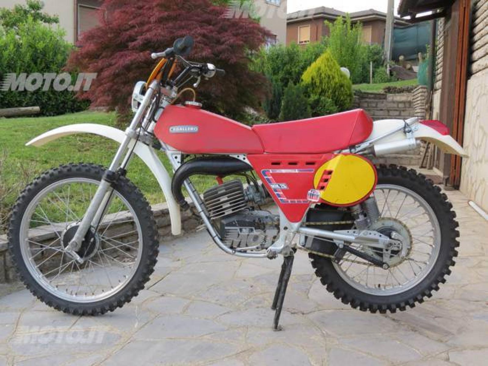 1981 Fantic TX 150 Caballero #9