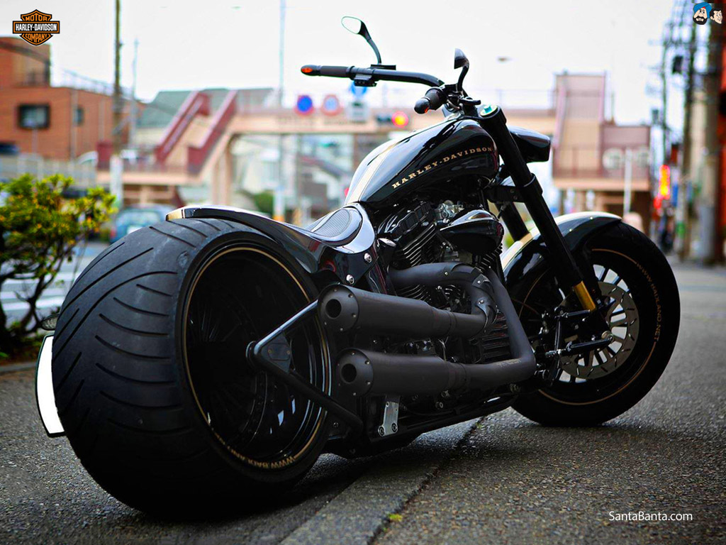 Harley-Davidson #1
