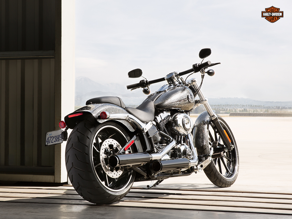 2014 Harley-Davidson Dyna Fat Bob #8
