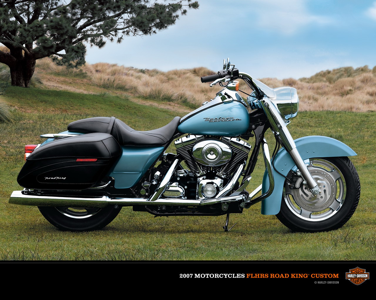2007 Harley-Davidson FLHRS Road King Custom #8