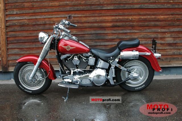 1999 Harley-Davidson FLSTF Fat Boy #10