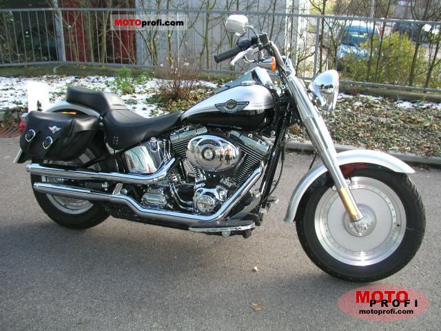 2003 Harley-Davidson FLSTF Fat Boy #10