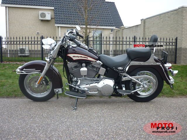 2006 Harley-Davidson FLSTI Heritage Softail #8