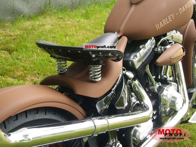 2011 Harley-Davidson FLSTSB Softail Cross Bones #8