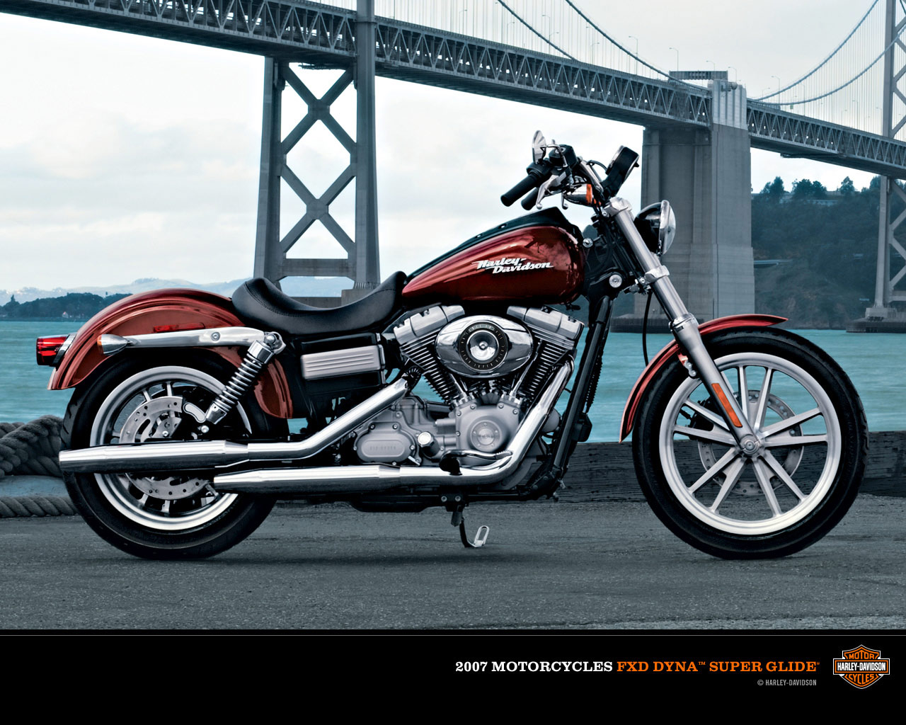 2002 Harley-Davidson FXD Dyna Super Glide #7