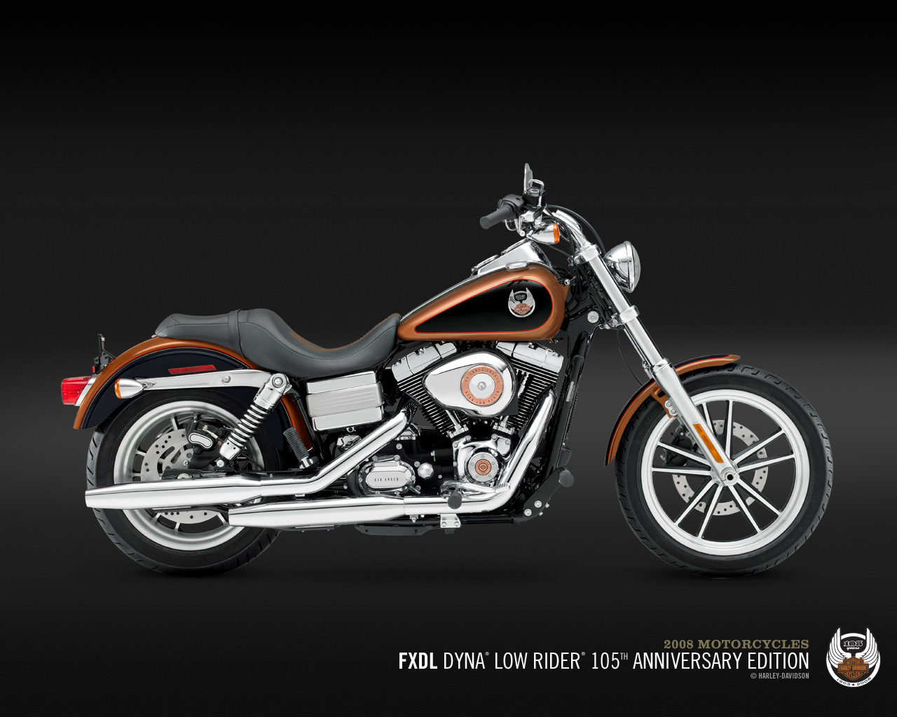 2009 Harley-Davidson FXDL Dyna Low Rider #10