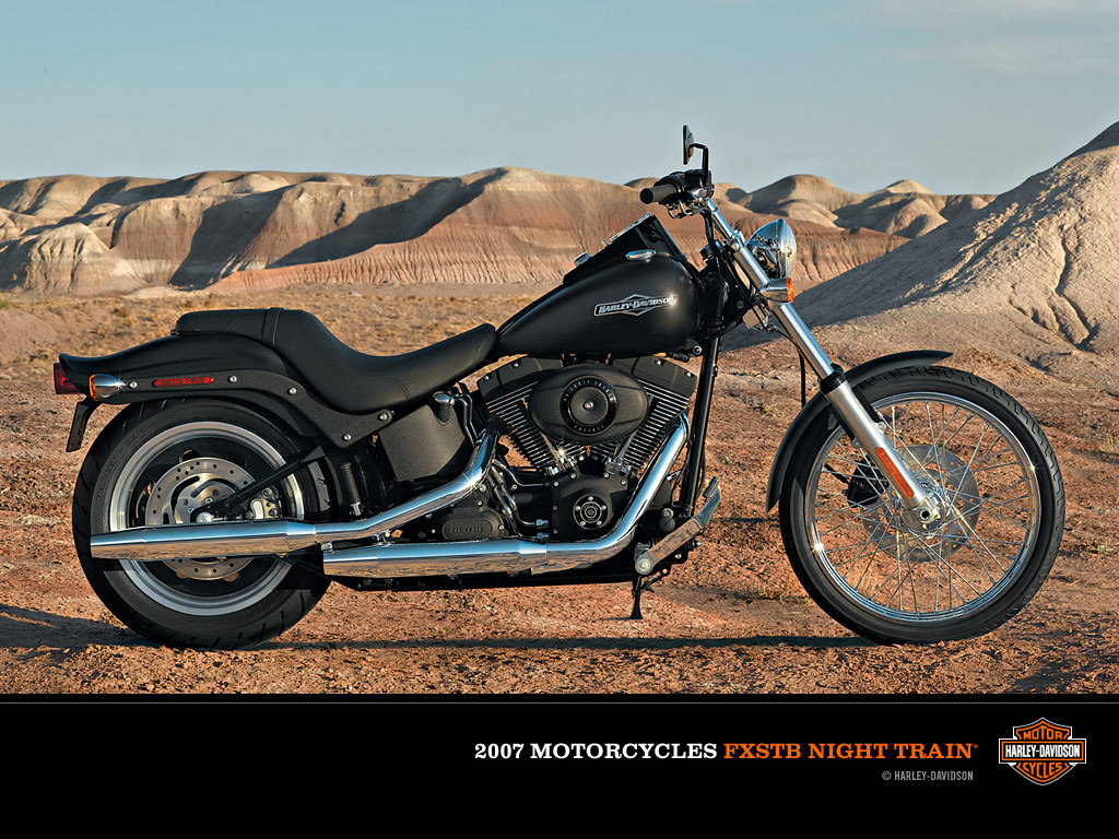 2000 Harley-Davidson FXSTB Night Train #9