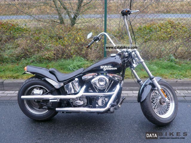 1987 Harley-Davidson FXSTC 1340 Softail Custom #8