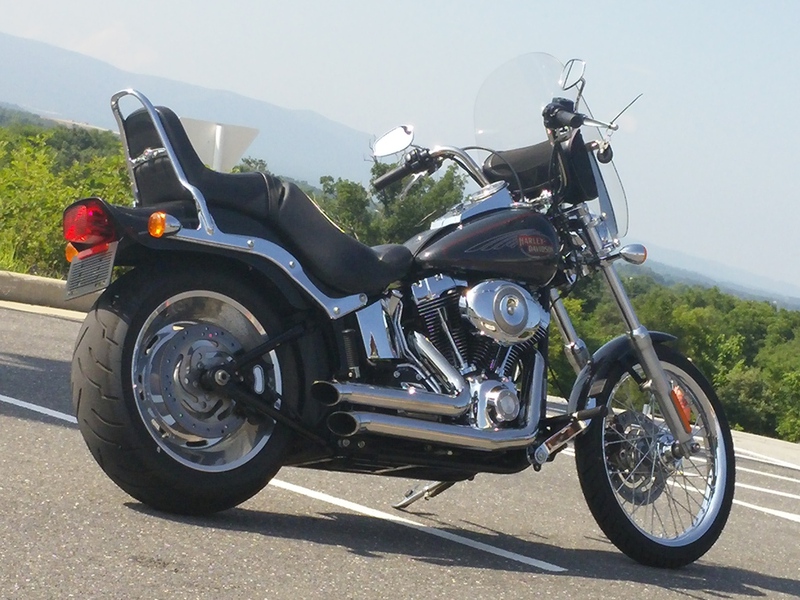 2008 Harley-Davidson FXSTC Softail Custom #8