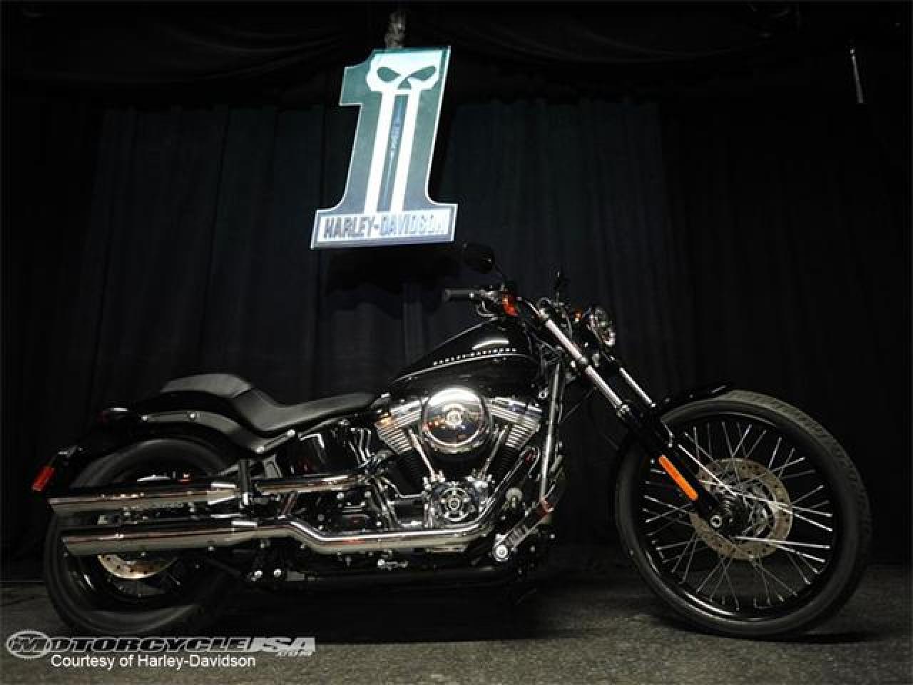 2013 Harley-Davidson Softail Blackline Dark Custom #7