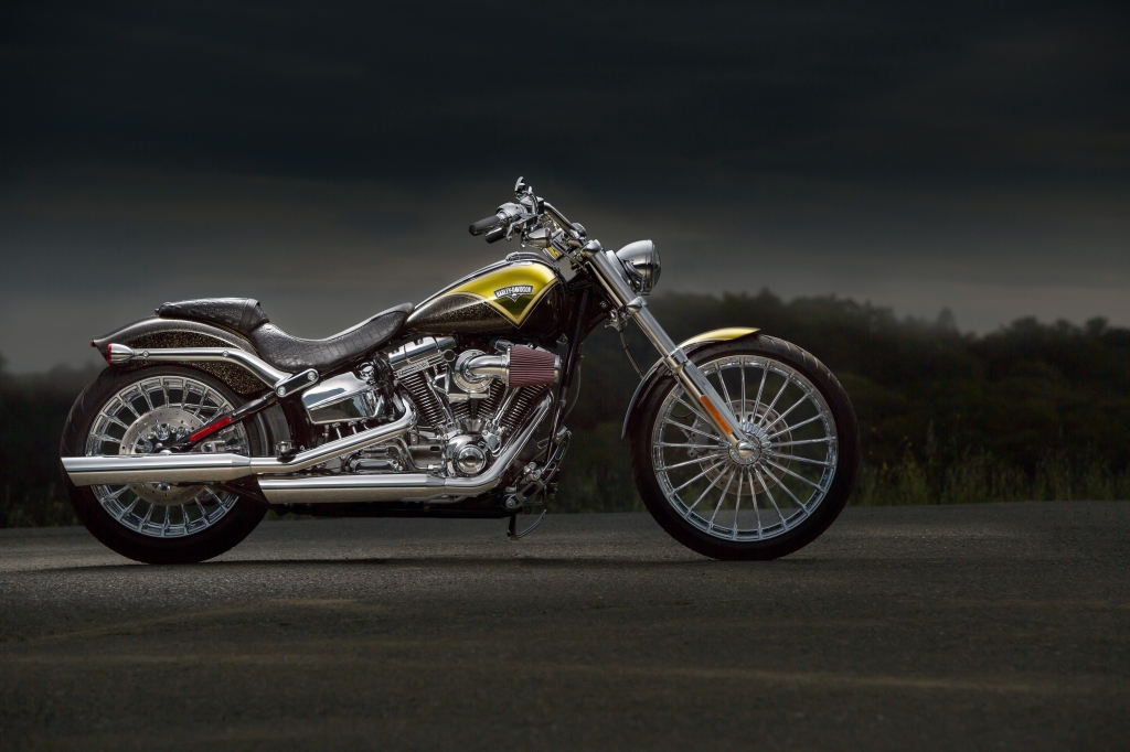 2014 Harley-Davidson Softail Breakout Special Edition #10