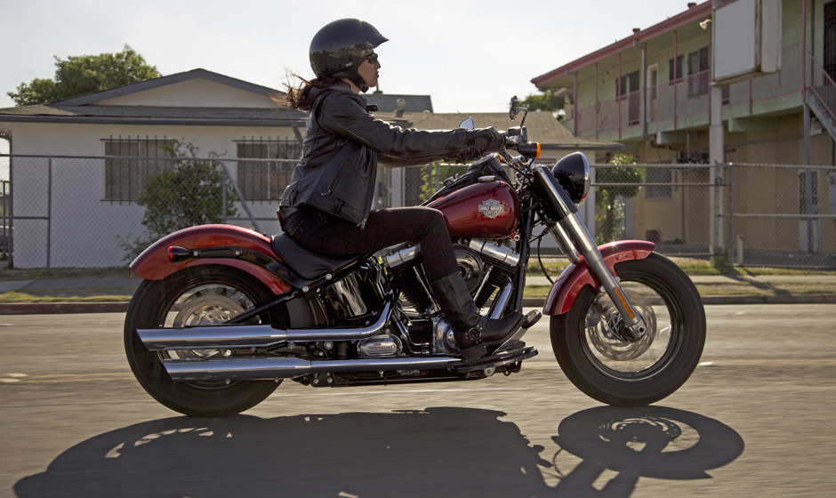 2013 Harley-Davidson Softail Slim #8
