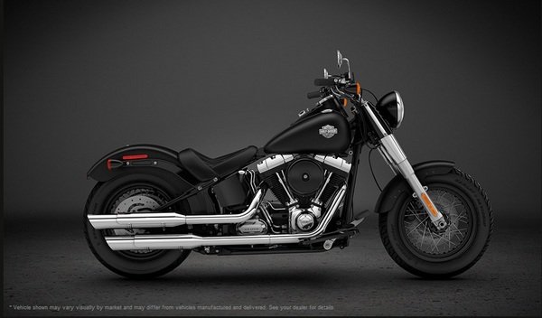 2013 Harley-Davidson Softail Slim #10