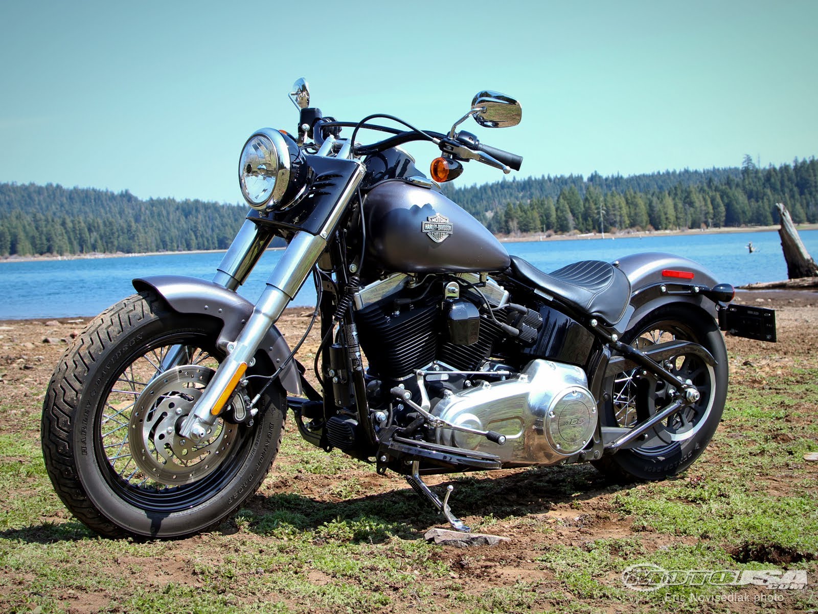 2014 Harley-Davidson Softail Slim #8
