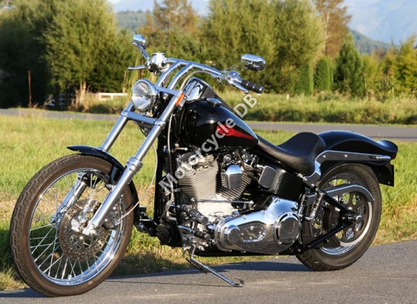 2001 Harley-Davidson Softail Standard #10