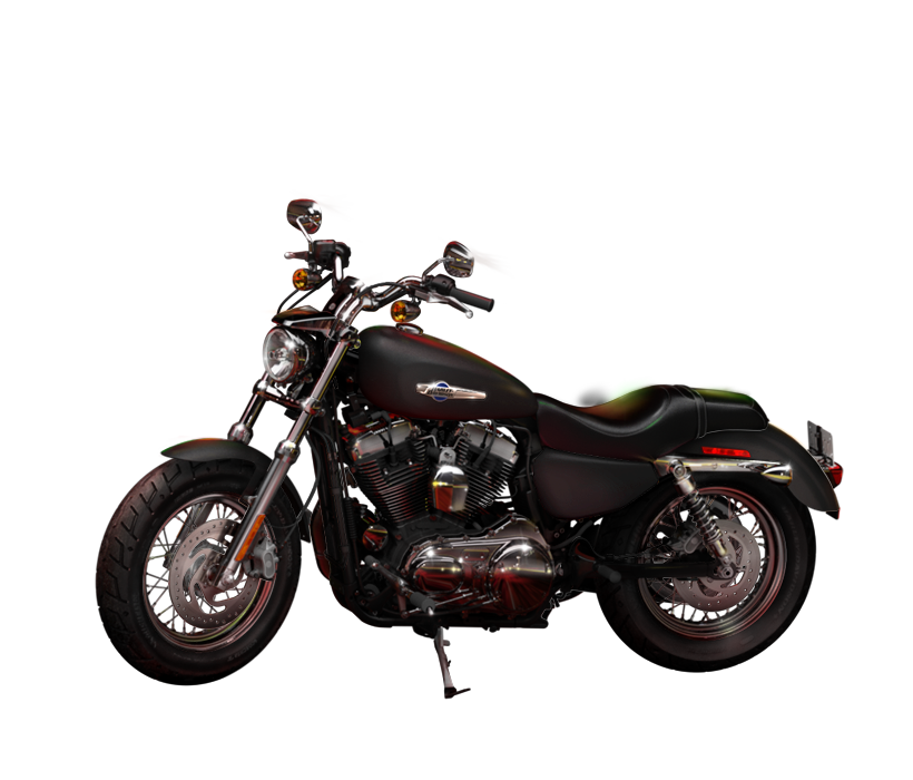 2014 Harley-Davidson Sporster 1200 Custom #10