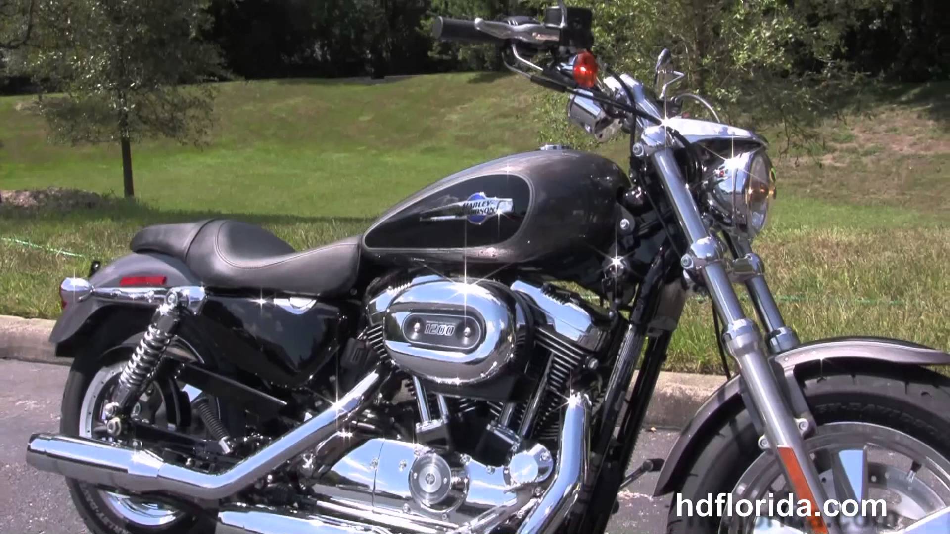 2014 Harley-Davidson Sporster 1200 Custom #9