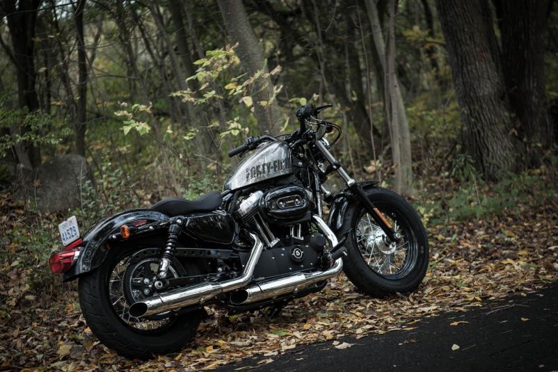 2014 Harley-Davidson Sportster Forty-Eight #9