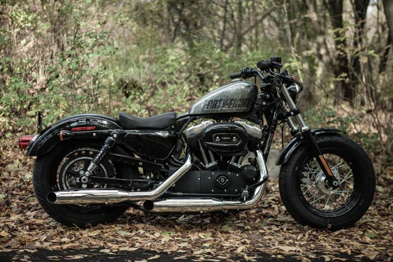 2014 Harley-Davidson Sportster Forty-Eight #10