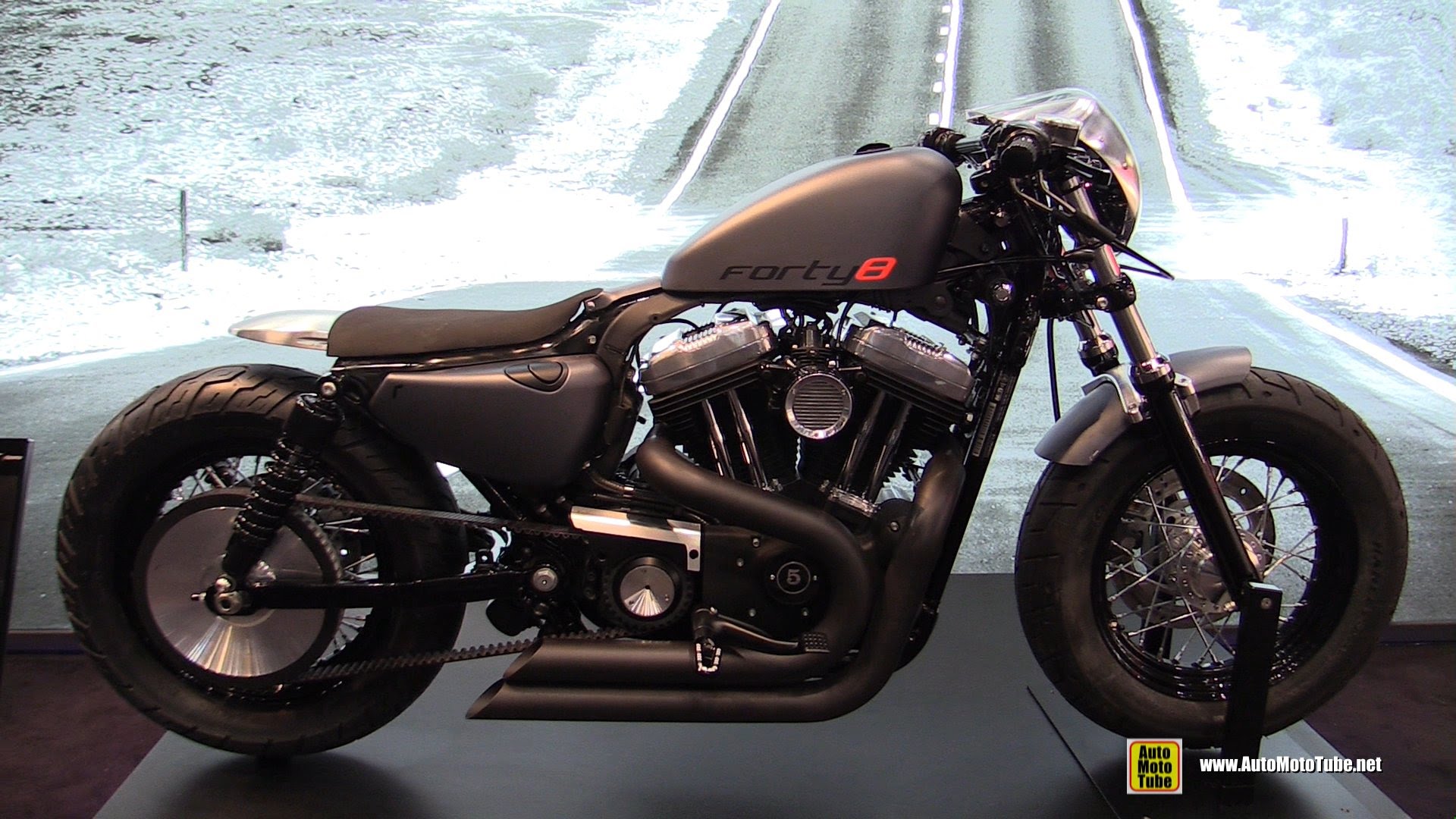 Harley-Davidson Sportster Forty-Eight #8