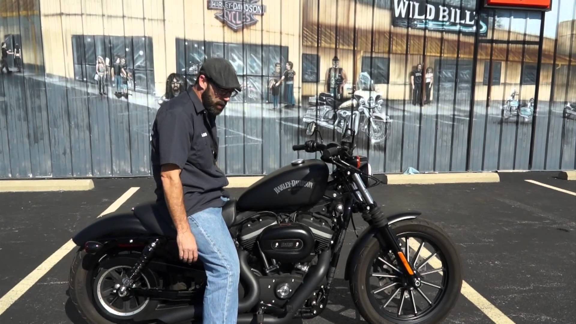 2013 Harley-Davidson Sportster Iron 833 #8