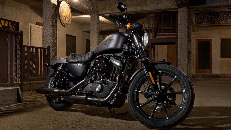 Harley-Davidson Sportster Iron 833 #10