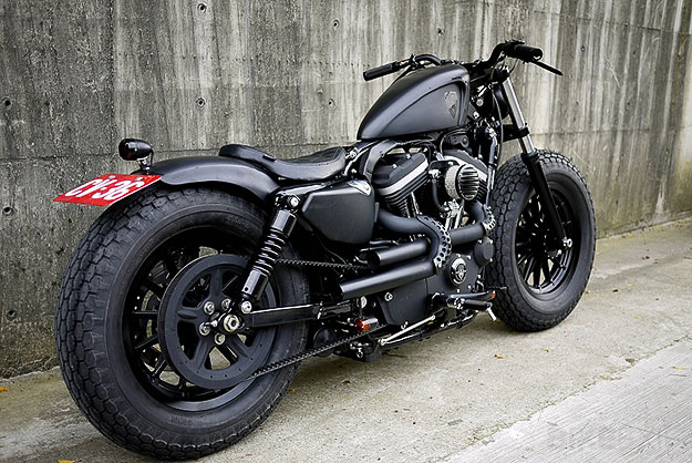 Harley-Davidson Sportster Iron 833 #8