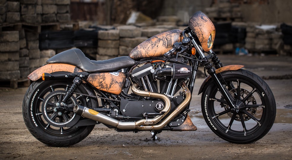 Harley-Davidson Sportster Iron 883 Dark Custom #8
