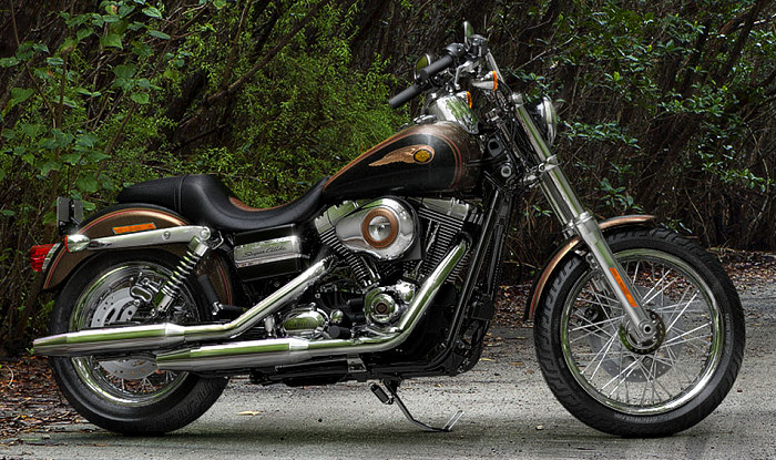 2013 Harley-Davidson Super Glide Custom 110th Anniversary #8