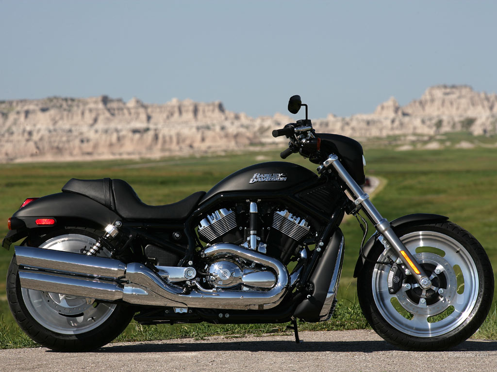 2006 Harley-Davidson VRSCA V-Rod #9