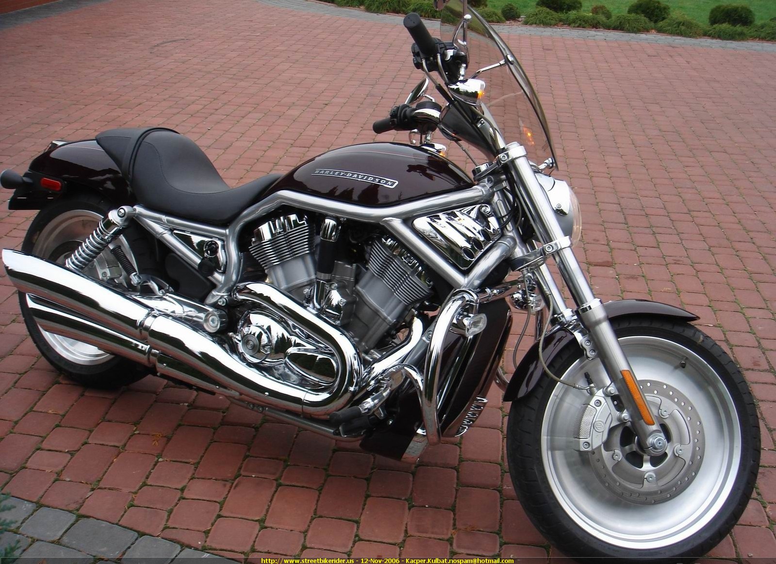 2006 Harley-Davidson VRSCA V-Rod #10