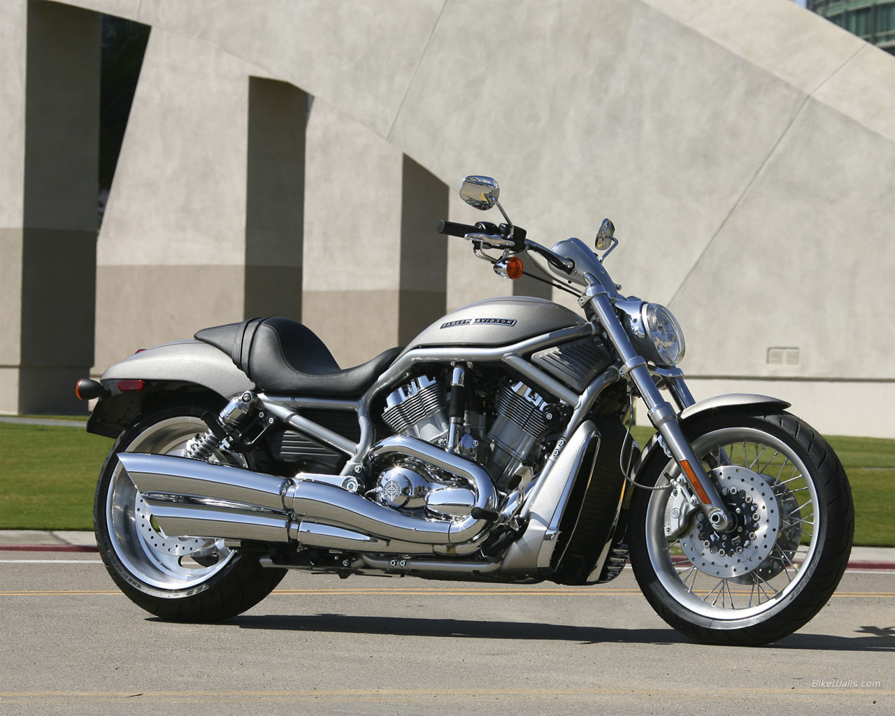 2009 Harley-Davidson VRSCAW V-Rod #9