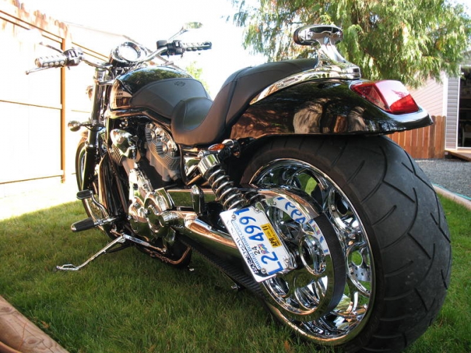 2004 Harley-Davidson VRSCB V-Rod #9