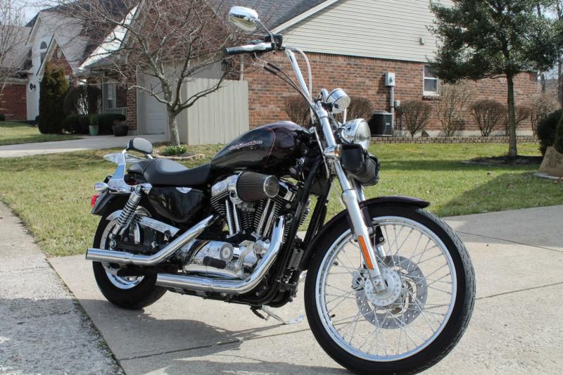 2006 Harley-Davidson XL1200C Sportster 1200 Custom #8