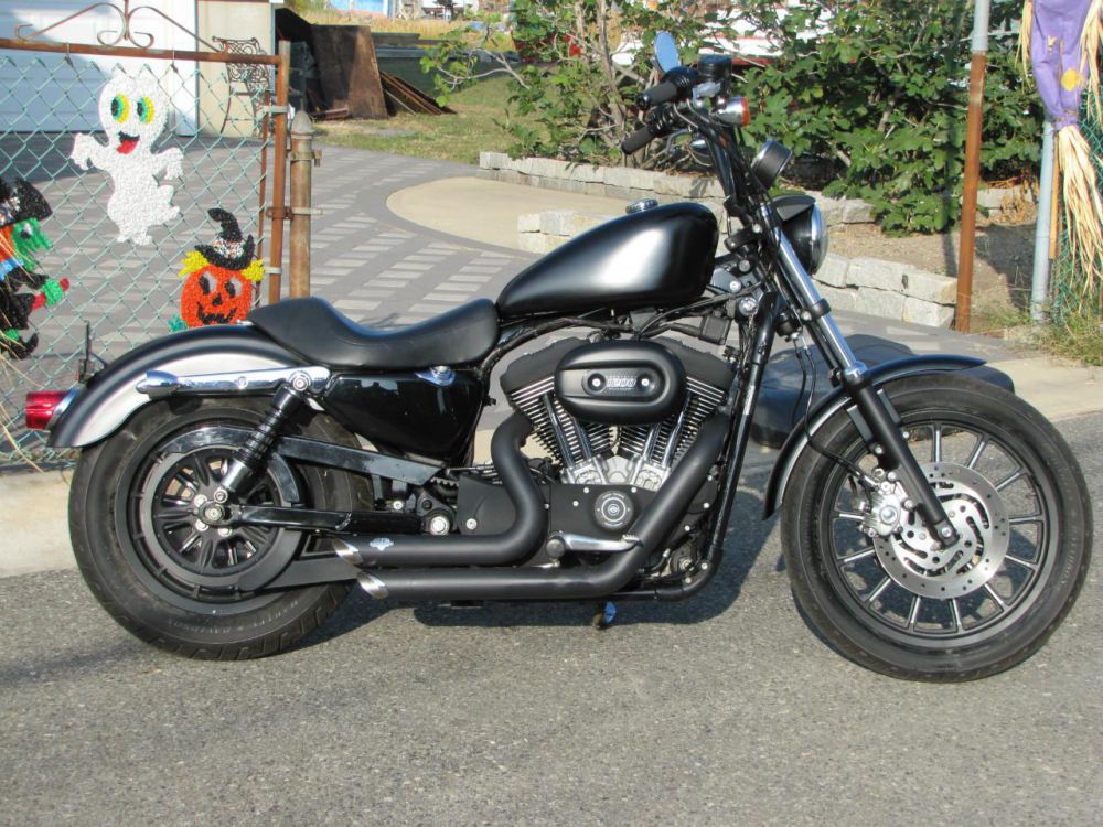 2005 Harley-Davidson XL1200C Sportster Custom #10