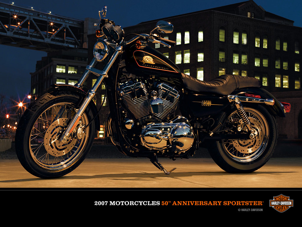 2007 Harley-Davidson XL50 50th Anniversary Sportster #9