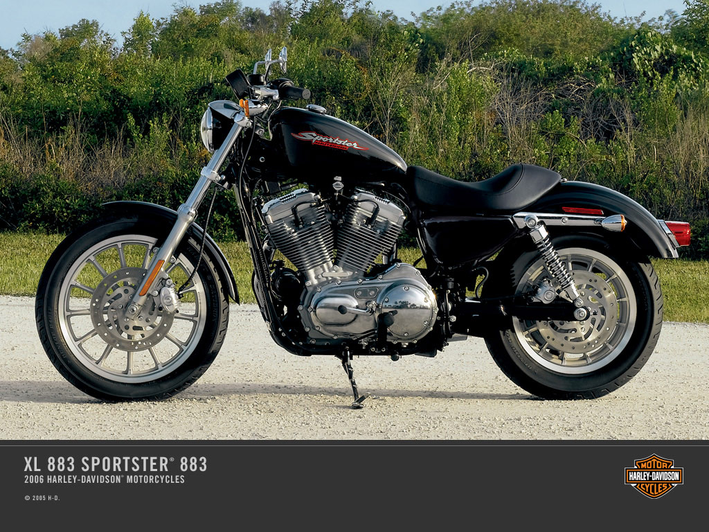 2008 Harley-Davidson XL883 Sportster Police #8