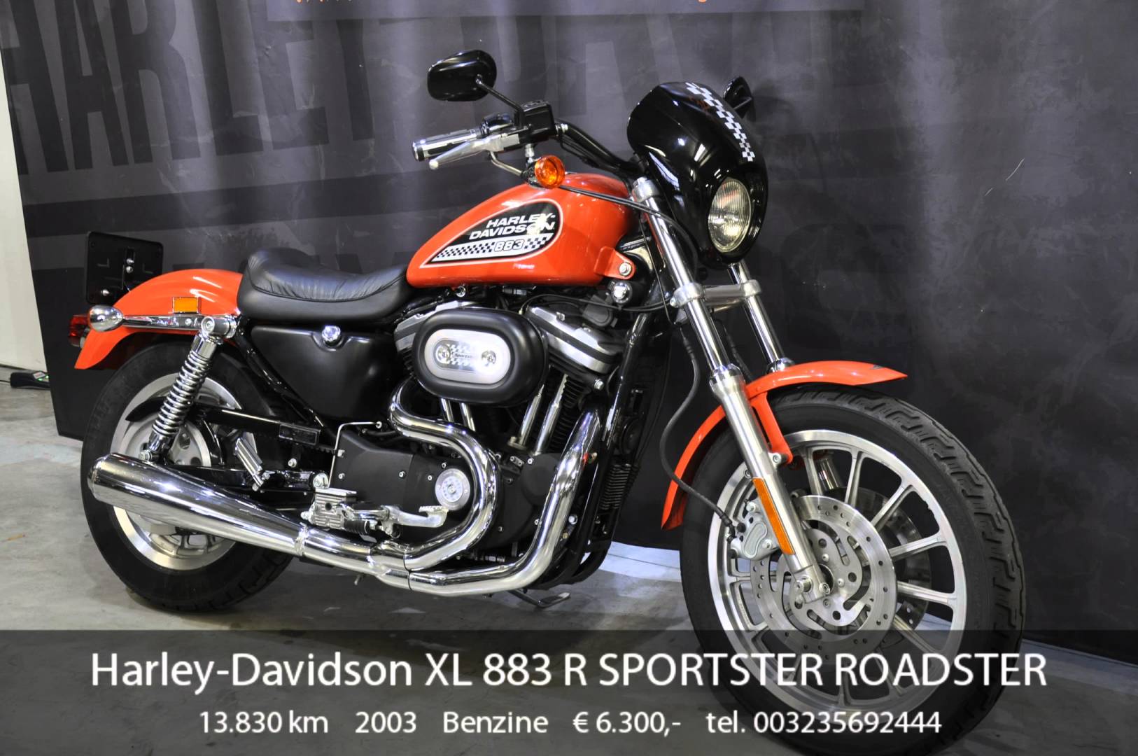 2003 Harley-Davidson XL883R Sportster #7