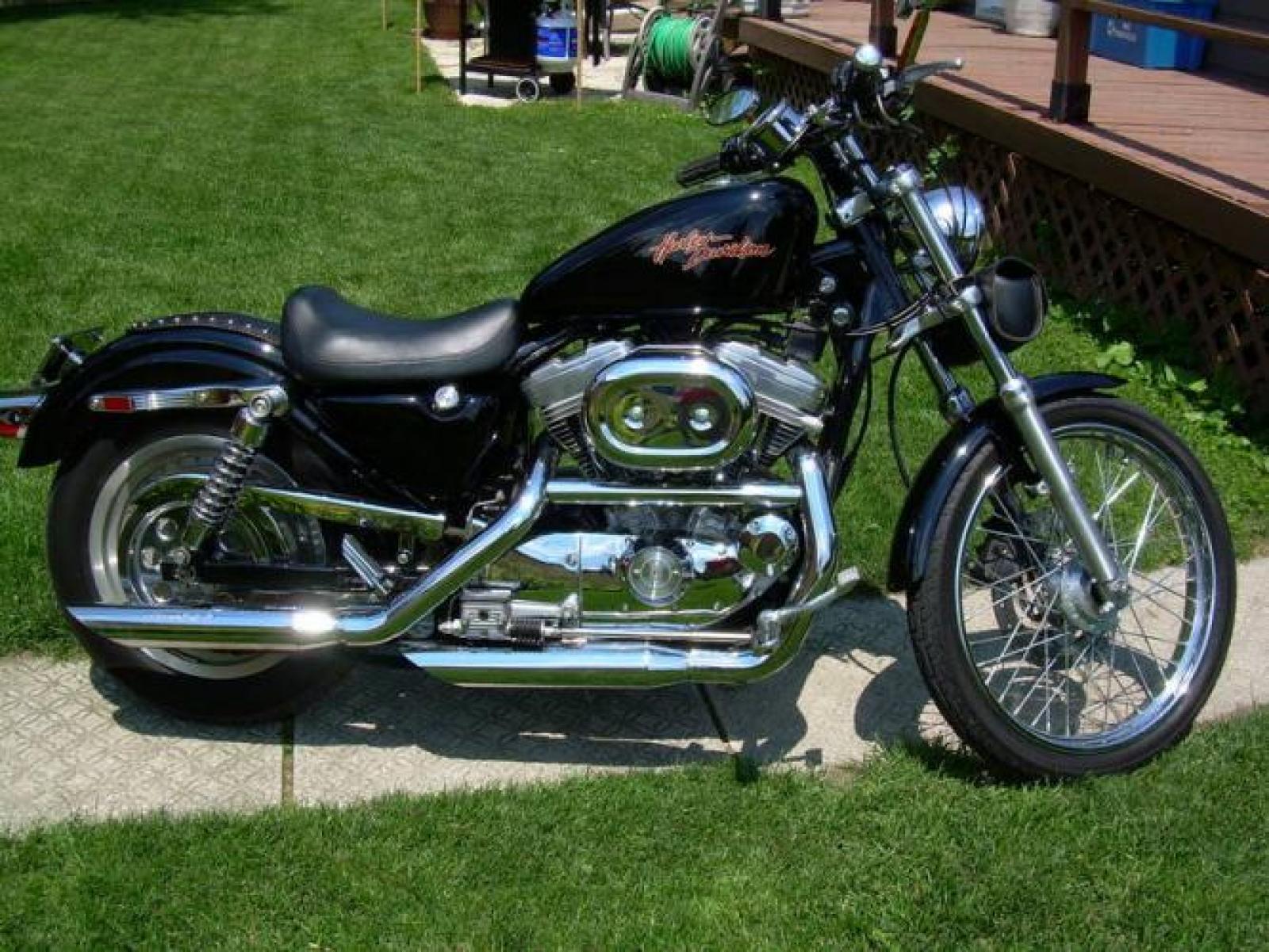 2000 Harley-Davidson XLH Sportster 883 Standard #7