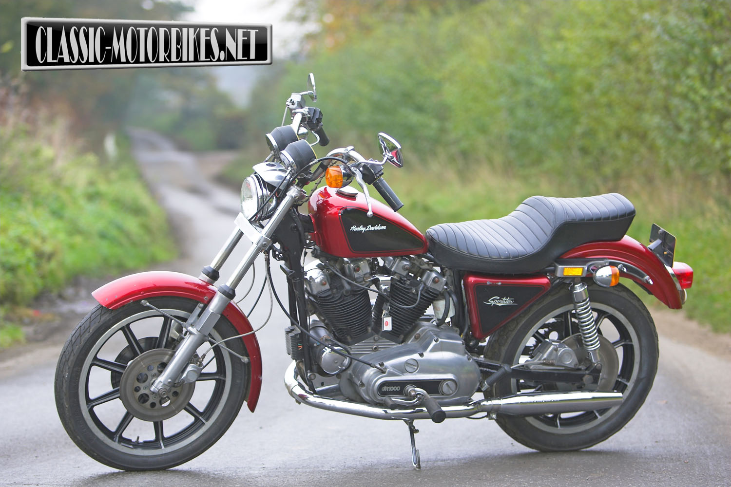 1981 Harley-Davidson XLS 1000 Roadster #9