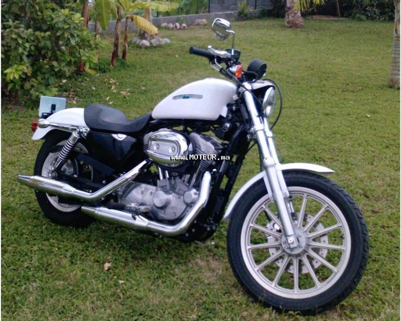 1984 Harley-Davidson XLX 1000-61 #7