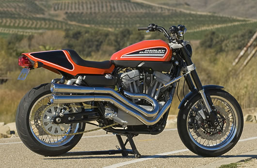 Harley-Davidson XR1200 #7