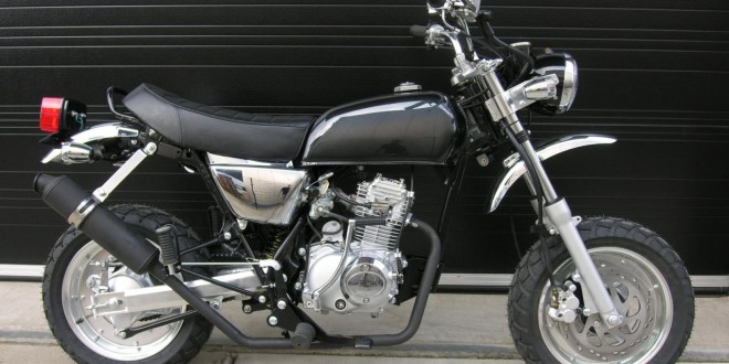 2006 Honda Ape 100 #10