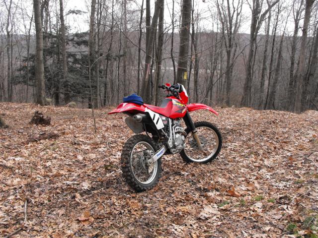 2009 Honda CRF100F #7