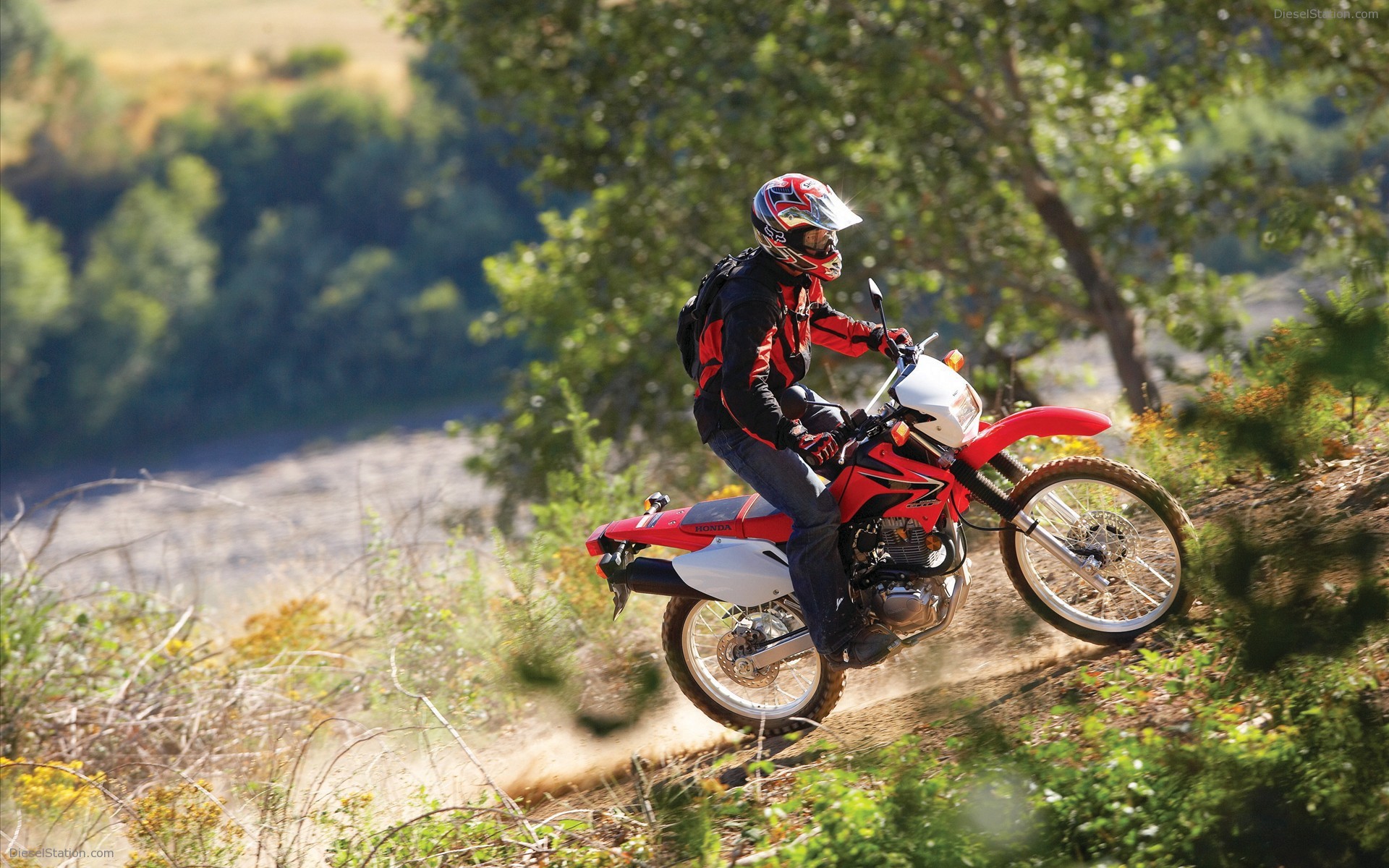 2009 Honda CRF230L #7