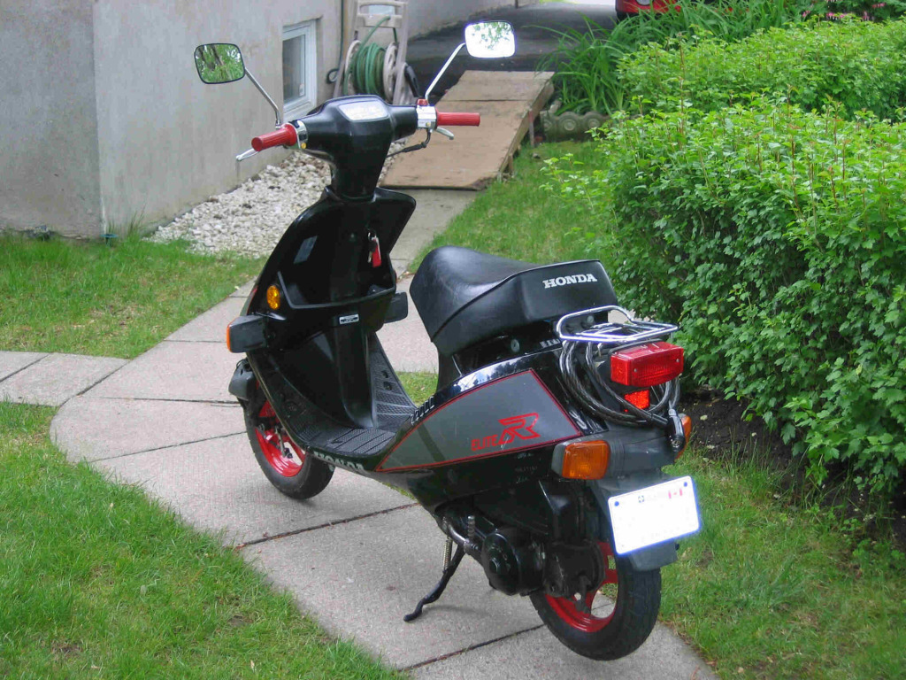 1988 Honda Elite SA 50 #10