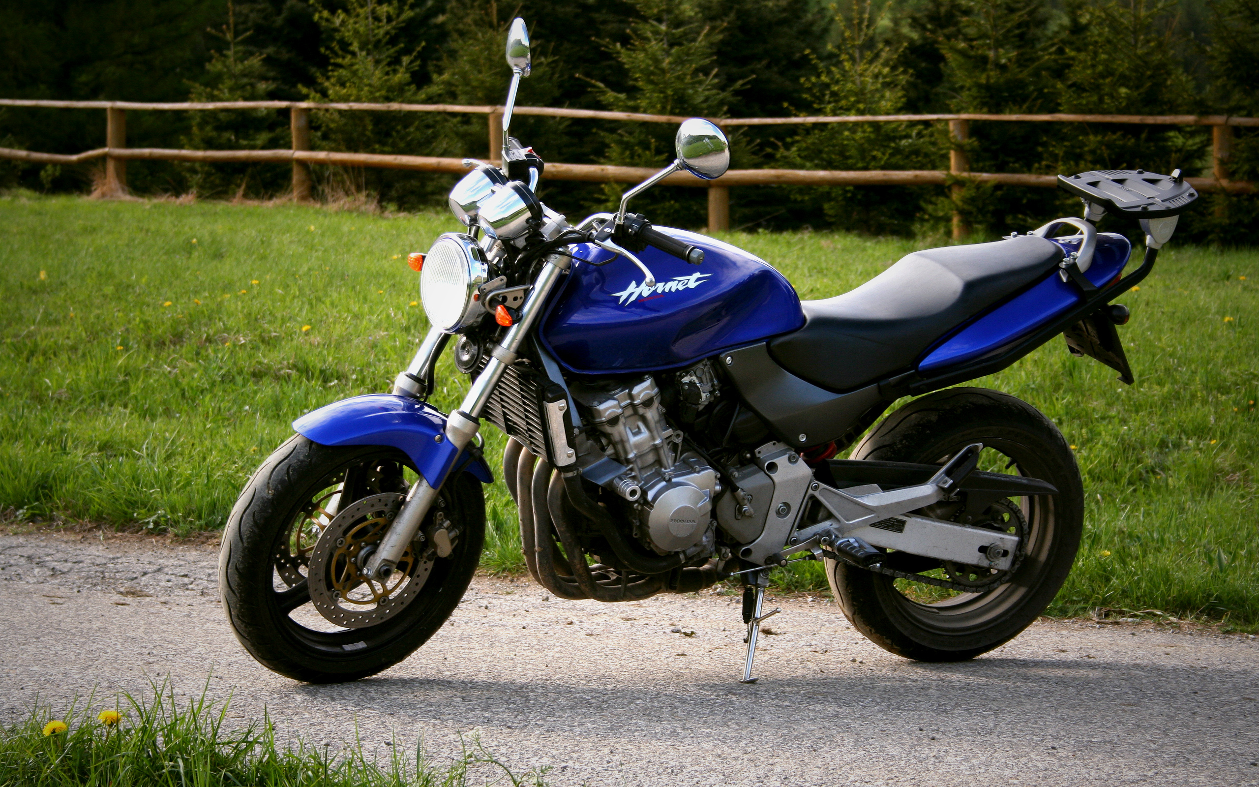 2002 Honda Hornet 250 #10