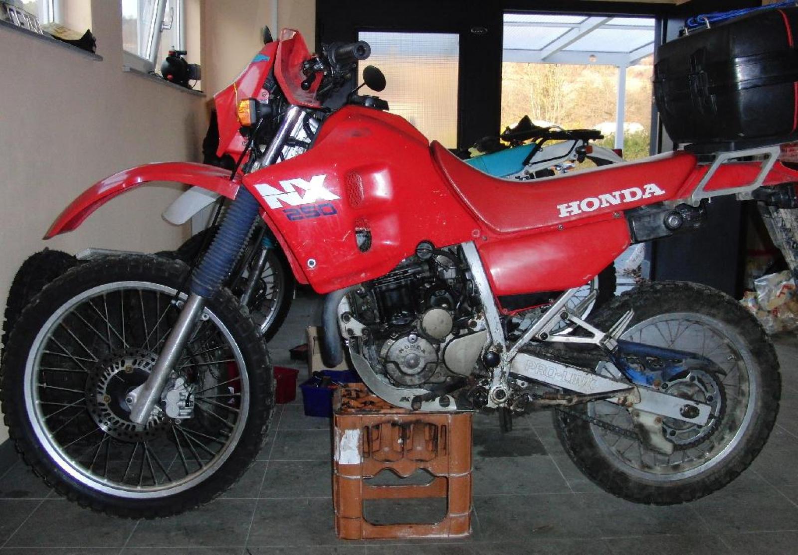 1989 Honda NX250 (reduced effect) #10