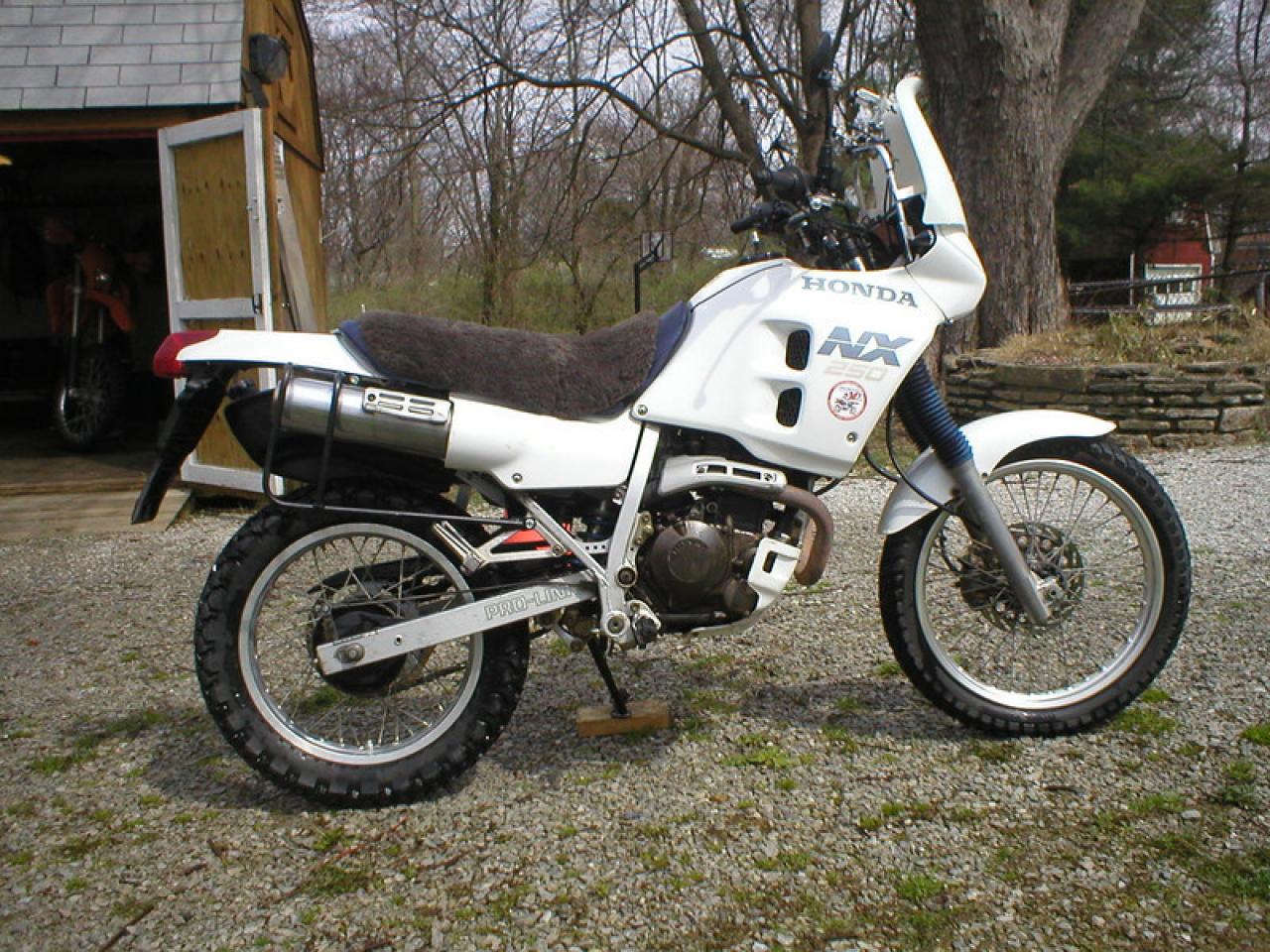 1991 Honda NX250 (reduced effect) #10